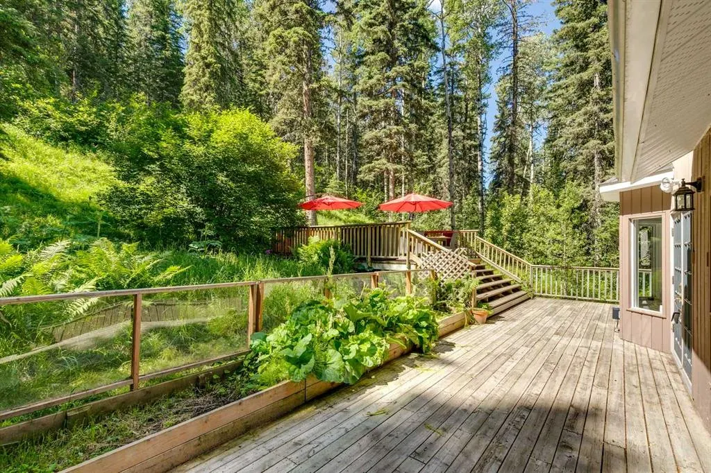 241 Mountain Lion Drive