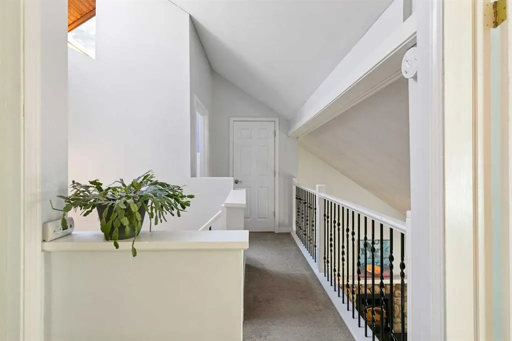 241 Mountain Lion Drive