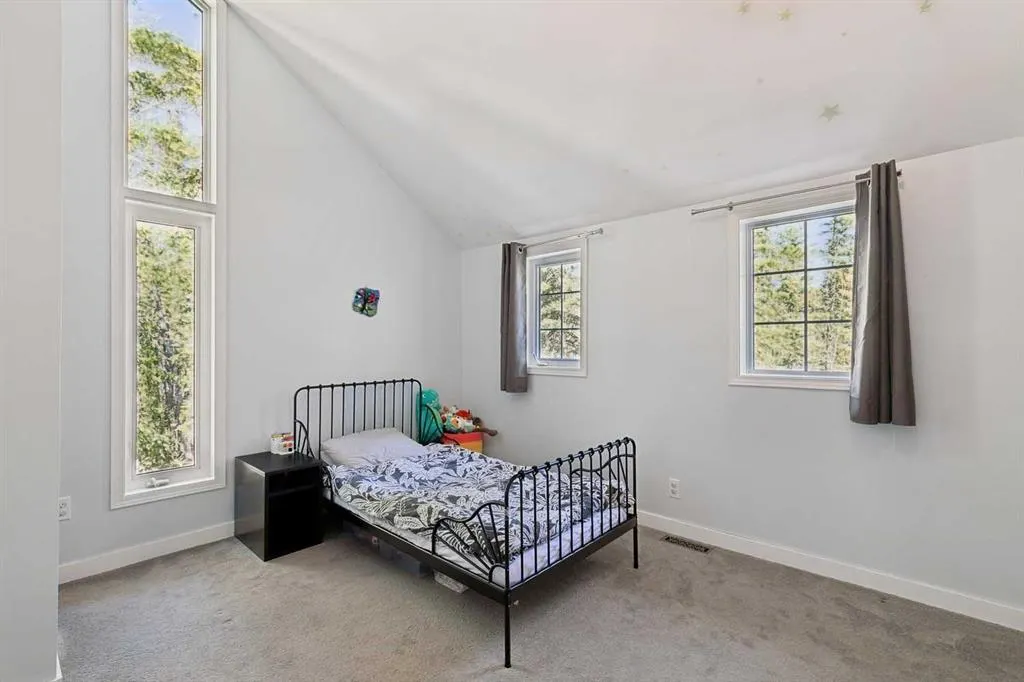 241 Mountain Lion Drive