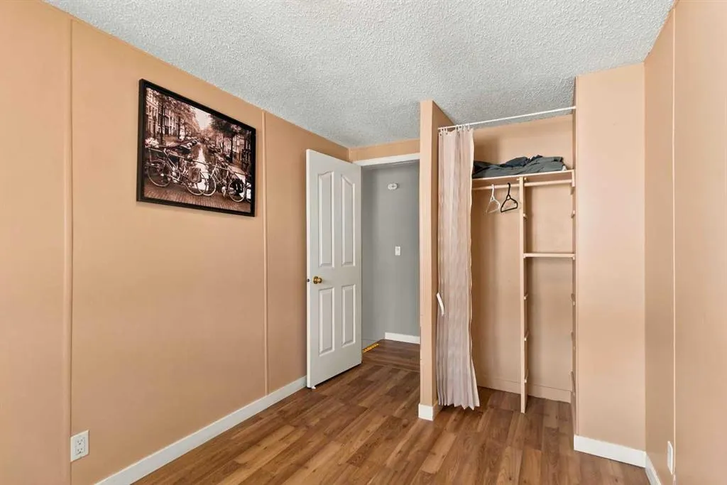 245 Card Court