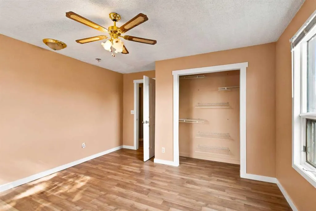 245 Card Court
