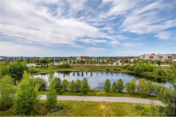 250 FIRESIDE View