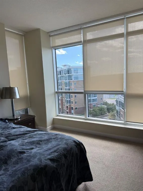 16 Varsity Estates Circle NW #701