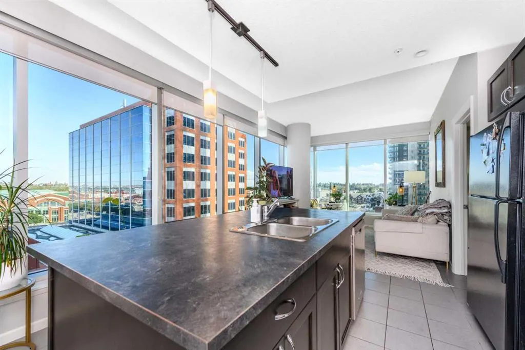 211 13 Avenue SE #607