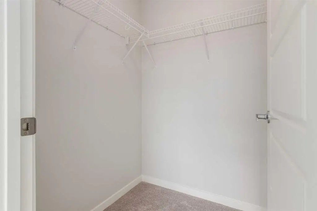 550 Belmont Street SW #4411