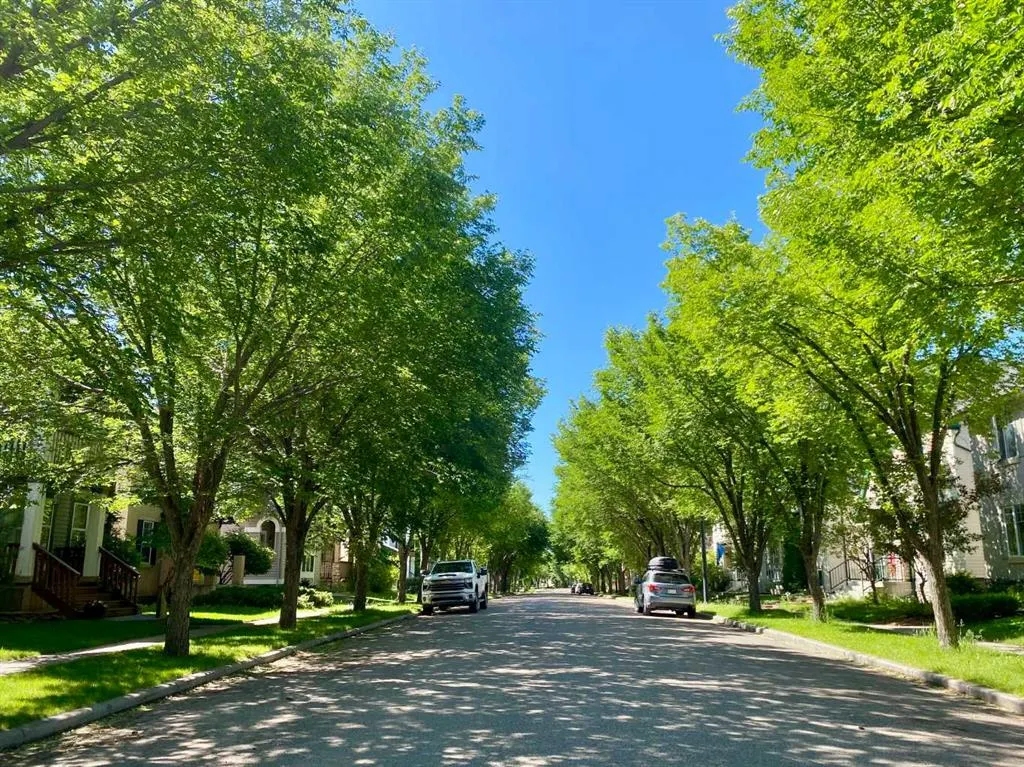 10 Elgin Drive SE