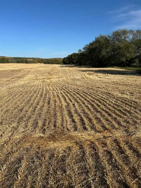 TWP Road 374