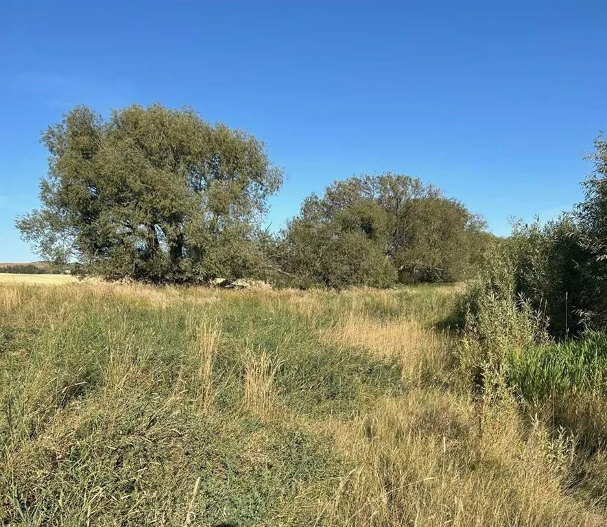 TWP Road 374