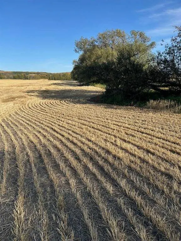 TWP Road 374
