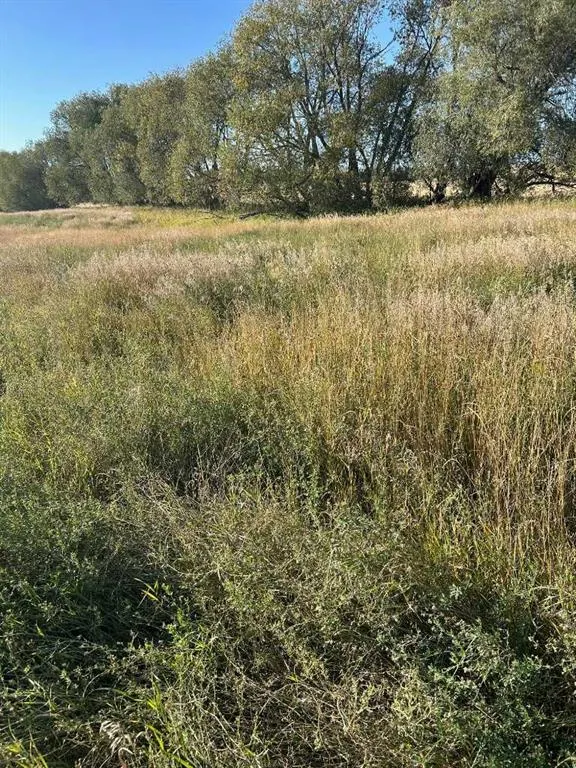 TWP Road 374