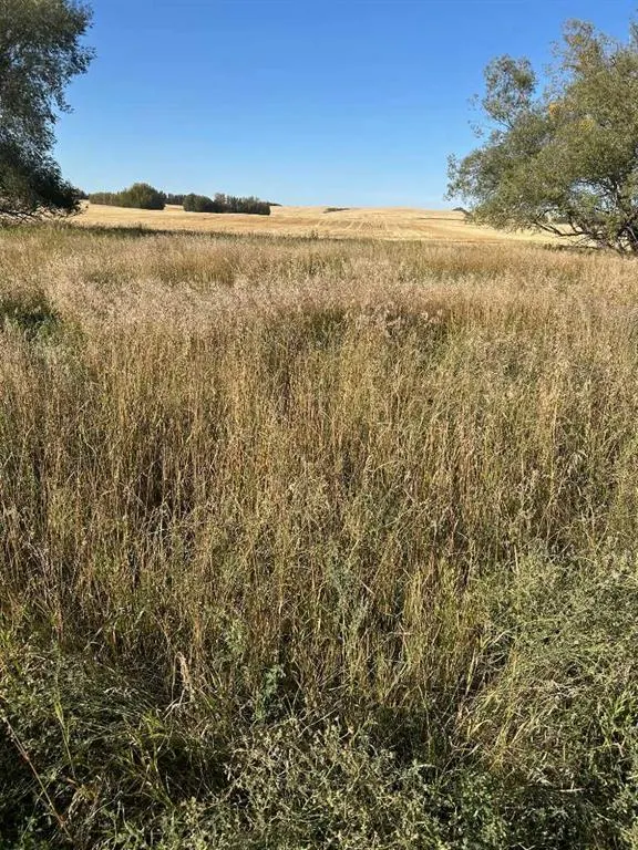 TWP Road 374