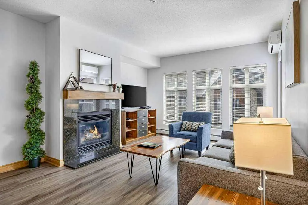 1151 Sidney Street #316
