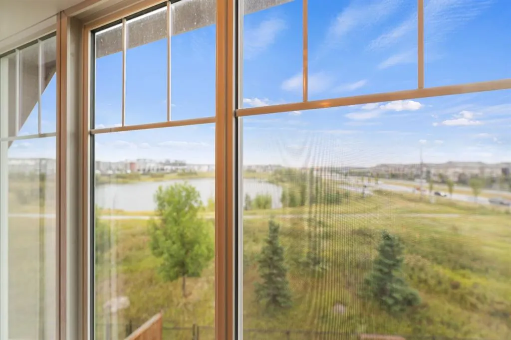 160 SKYVIEW SHORES Manor NE