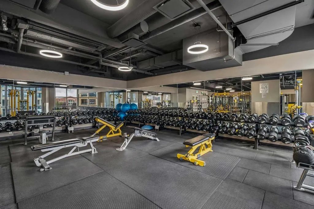 225 11 Avenue SE #707