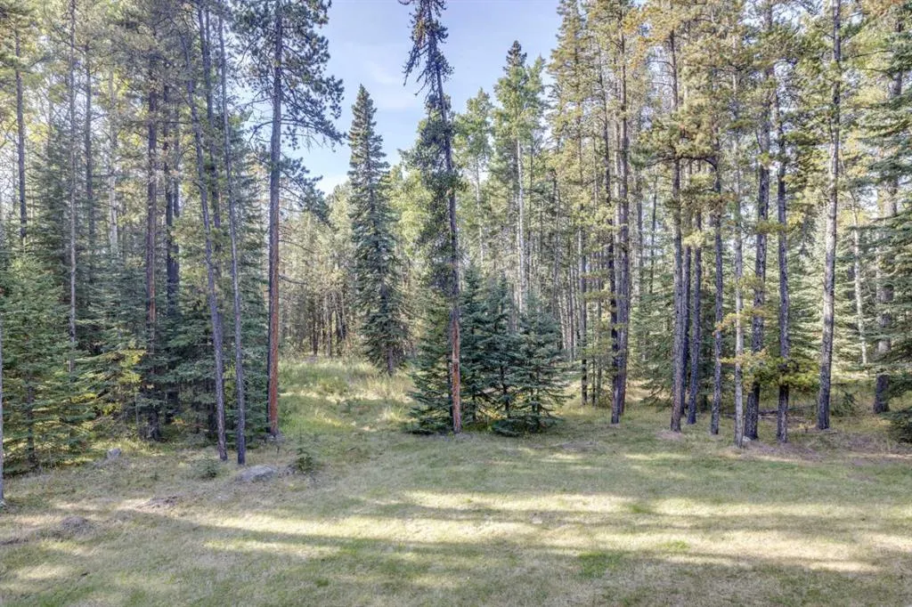 11 Elk Valley Gate