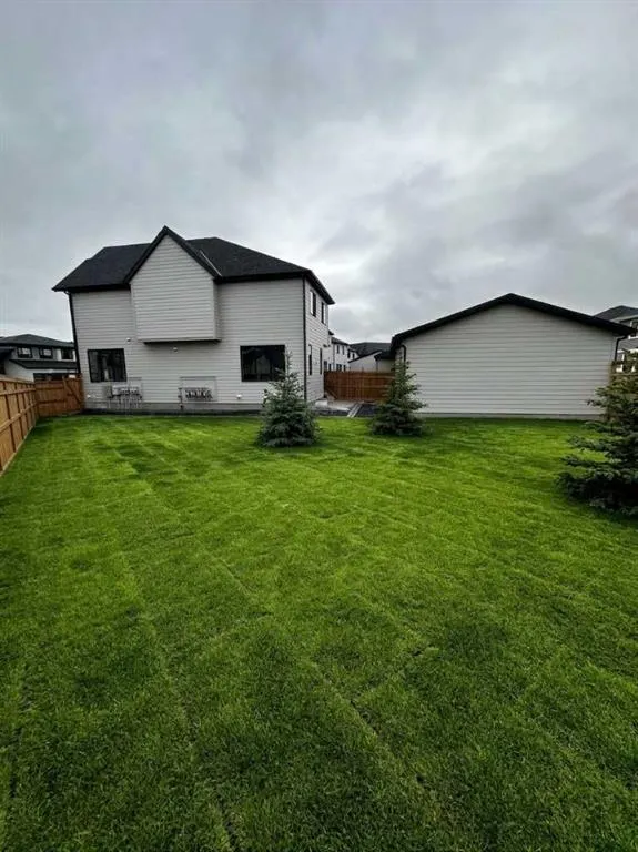 1125 Sailfin Heath