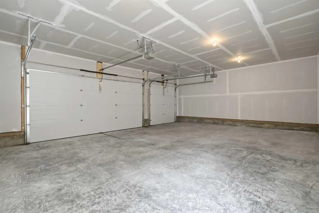 1125 Sailfin Heath