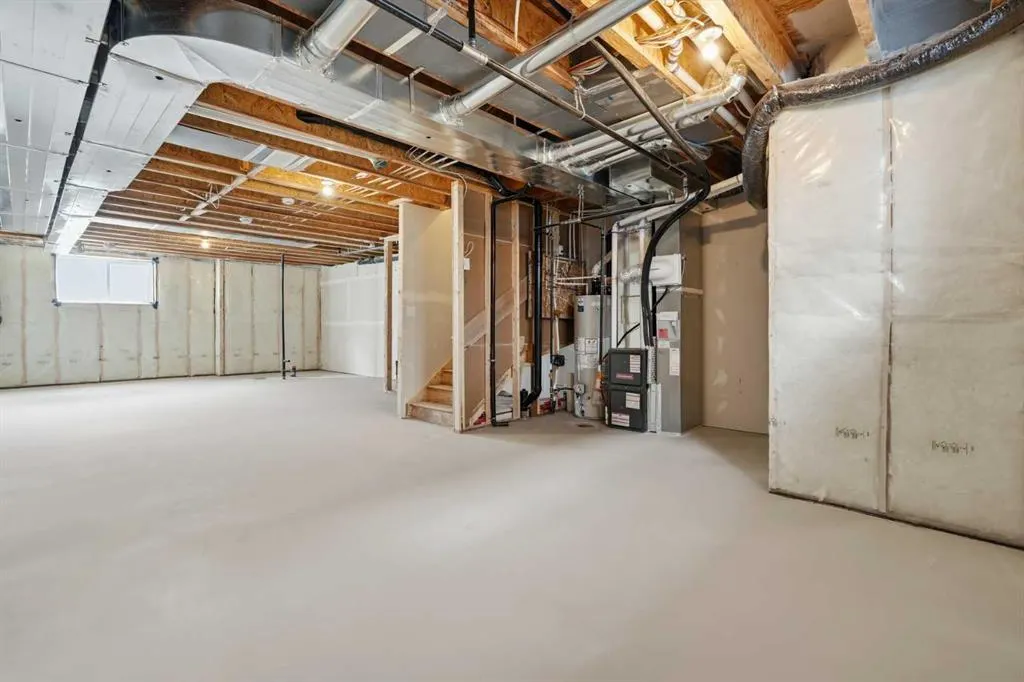 1125 Sailfin Heath