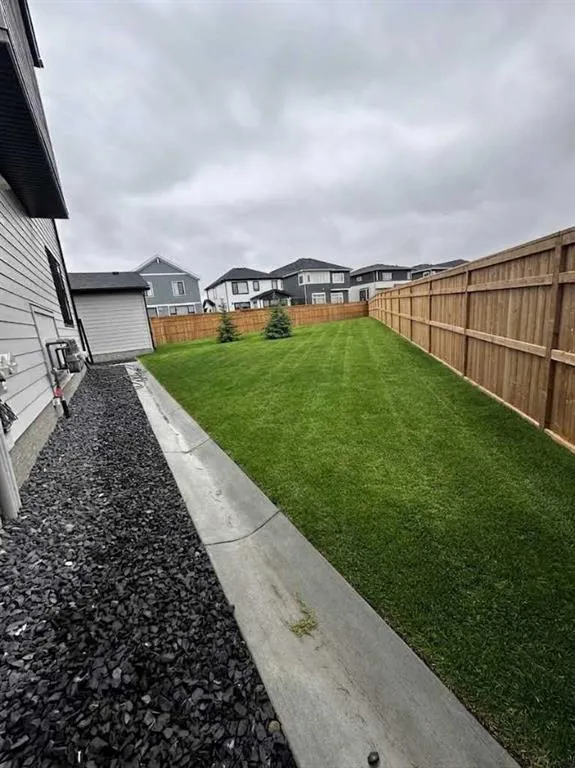 1125 Sailfin Heath