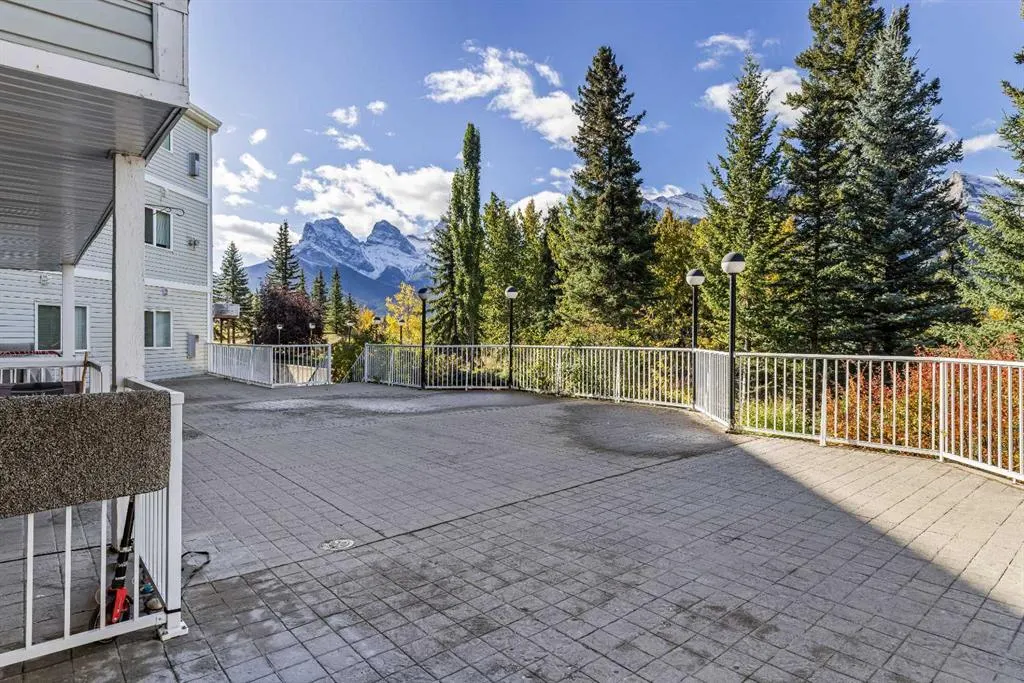 1080c Cougar Creek Drive #106