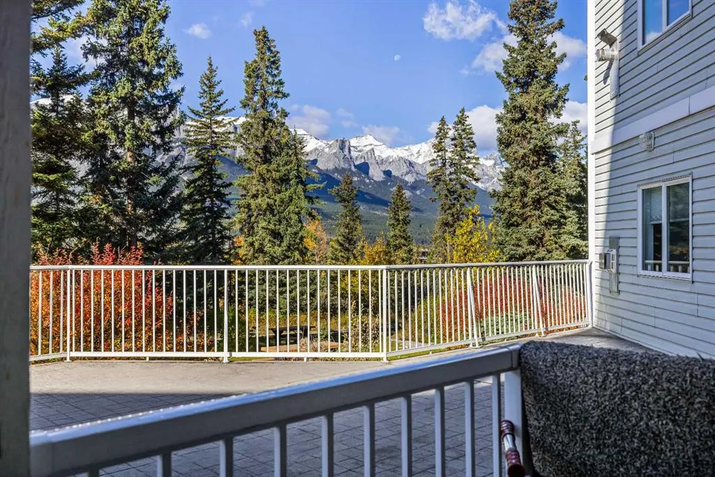 1080c Cougar Creek Drive #106