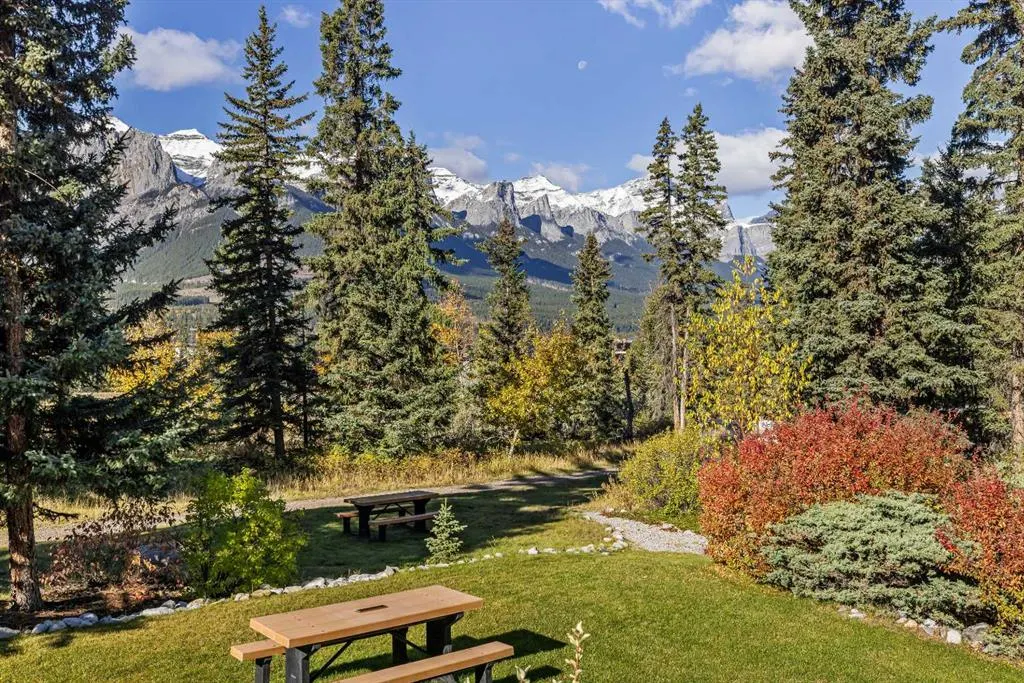 1080c Cougar Creek Drive #106