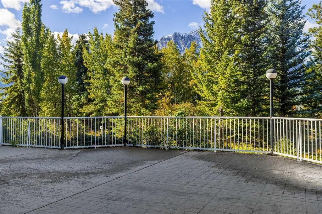 1080c Cougar Creek Drive #106