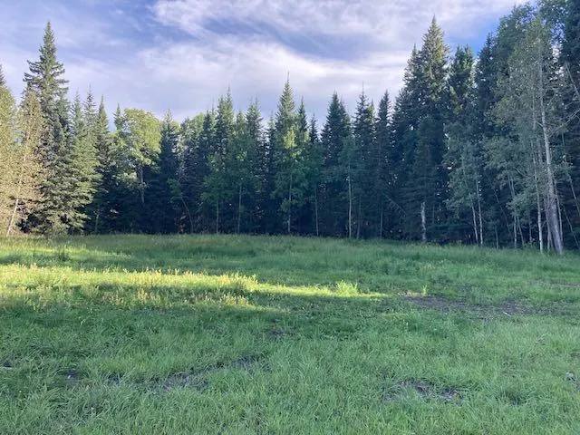 Lot #1 - 231031 RR 54 NW