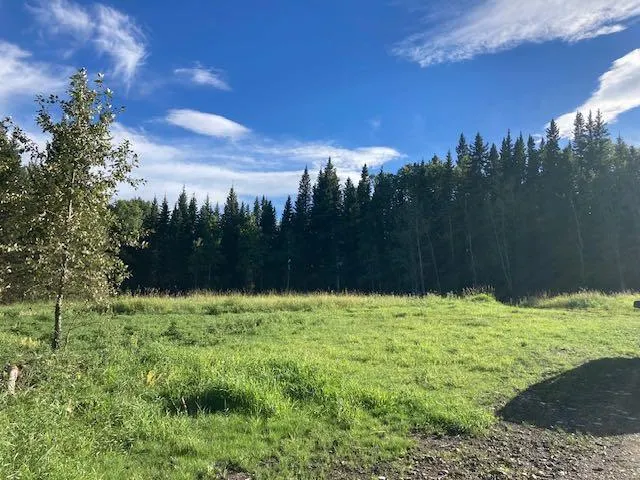 Lot #1 - 231031 RR 54 NW