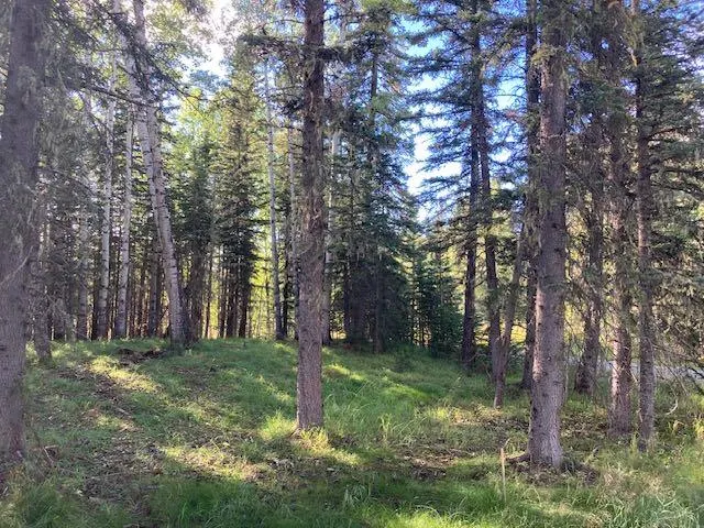 Lot #1 - 231031 RR 54 NW