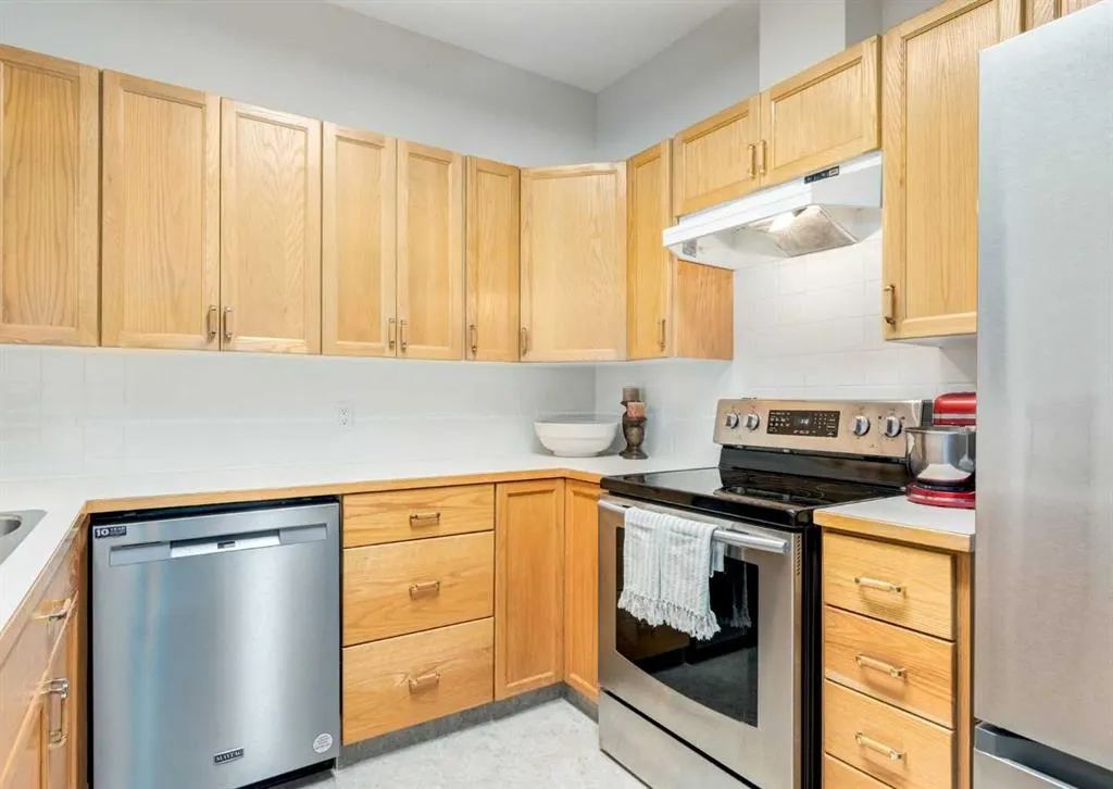 305 1 Avenue NW #101