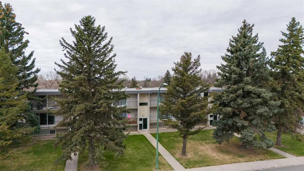 218 Mayor Magrath Drive N #3