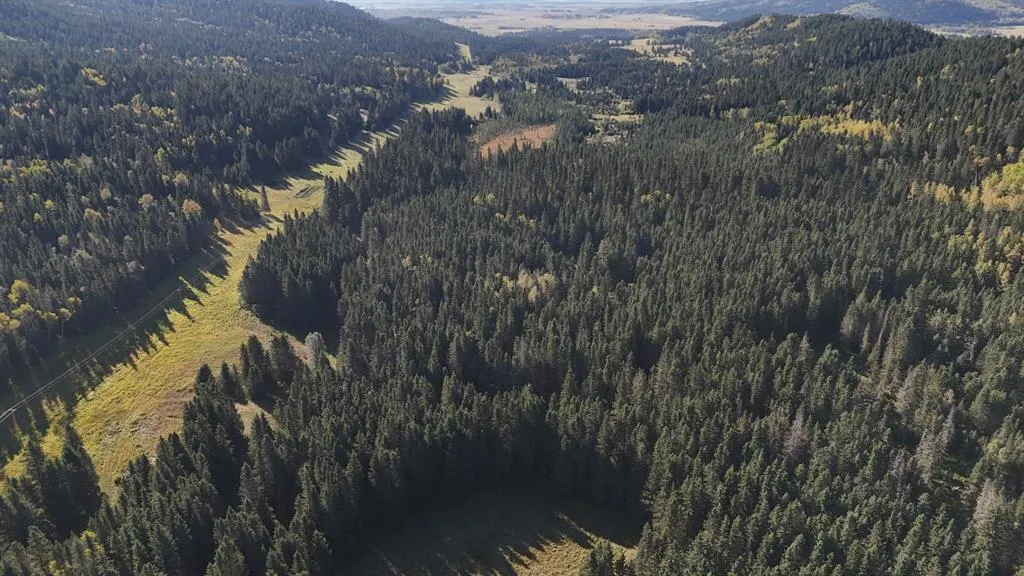 50 acres Range Road 60