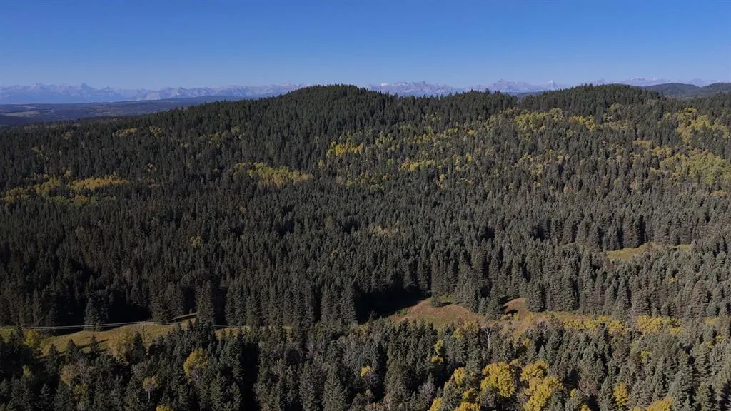 50 acres Range Road 60
