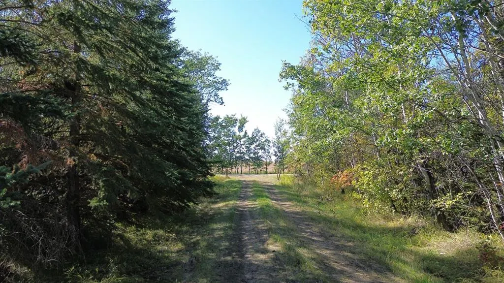 On RR 251