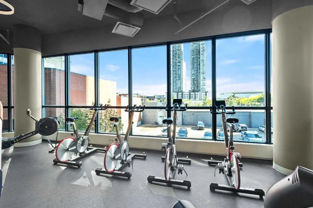 225 11 Avenue SE #2203