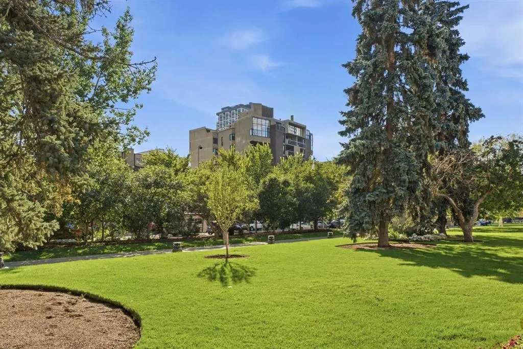 323 13 Avenue SW #203