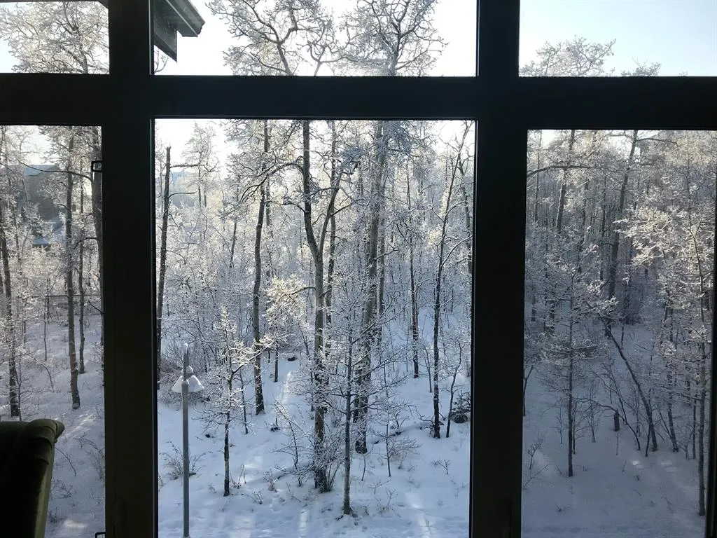 25 Aspenmont Heights SW #313