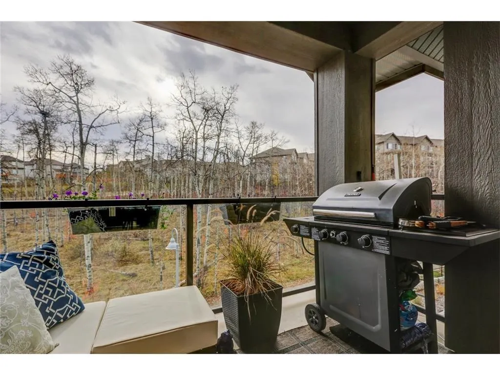 25 Aspenmont Heights SW #313
