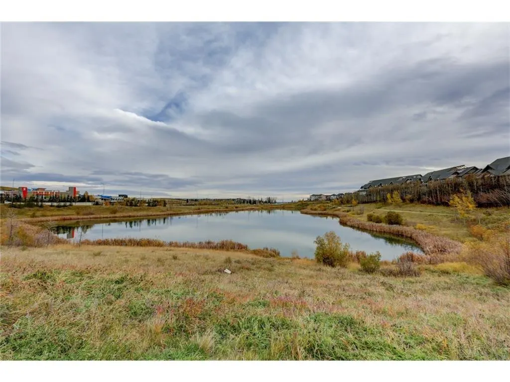25 Aspenmont Heights SW #313