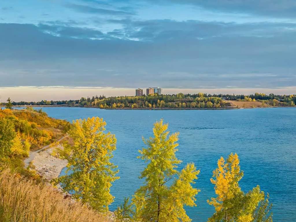 35 Richard Court SW #339