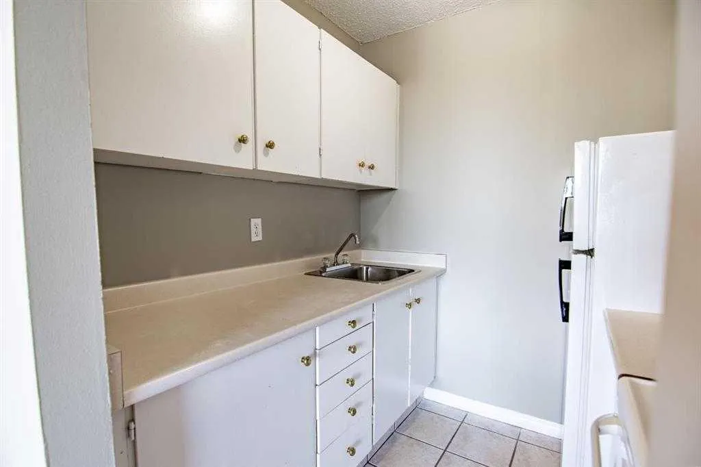 4820 47 Avenue #405
