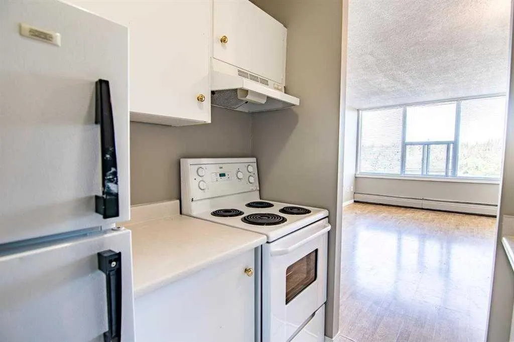 4820 47 Avenue #405