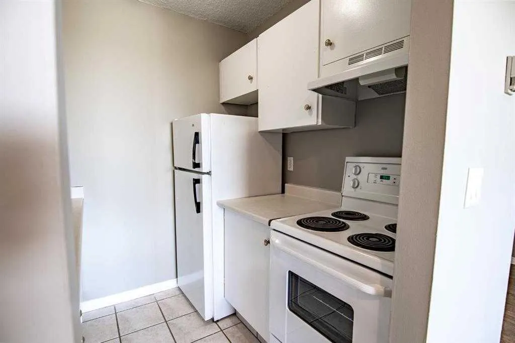 4820 47 Avenue #405