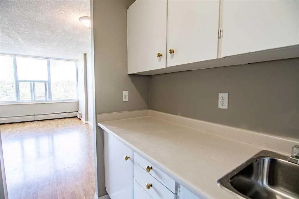 4820 47 Avenue #405