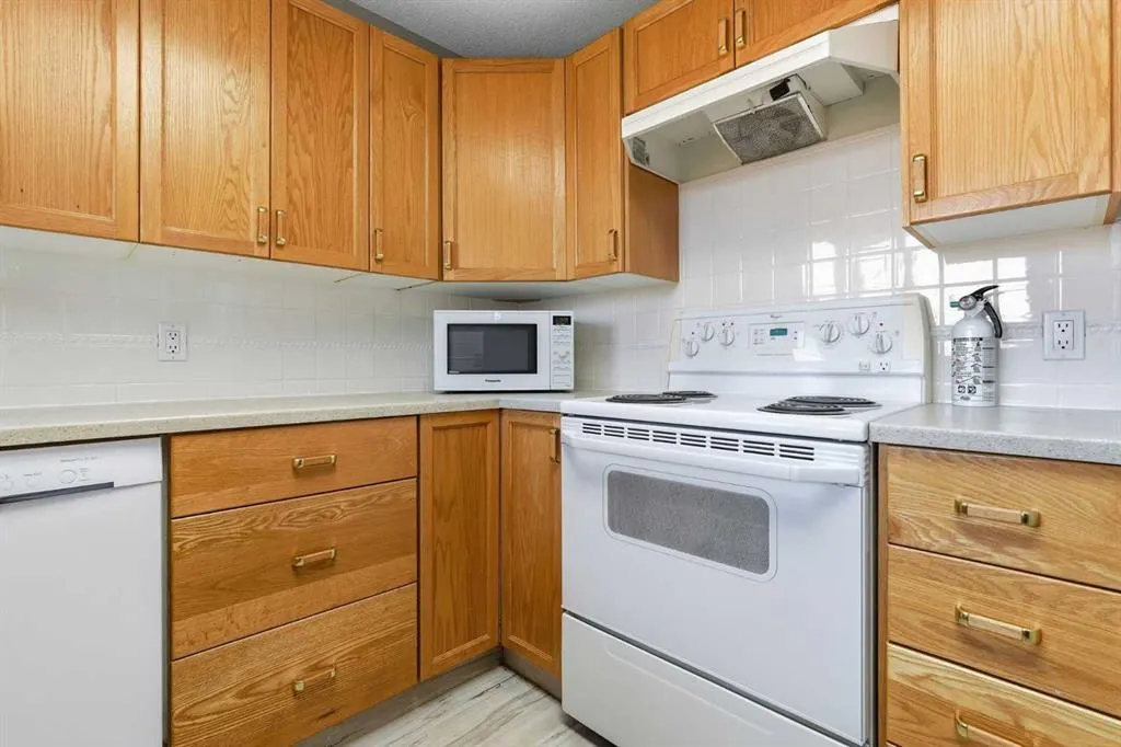 305 1 Avenue NW #316