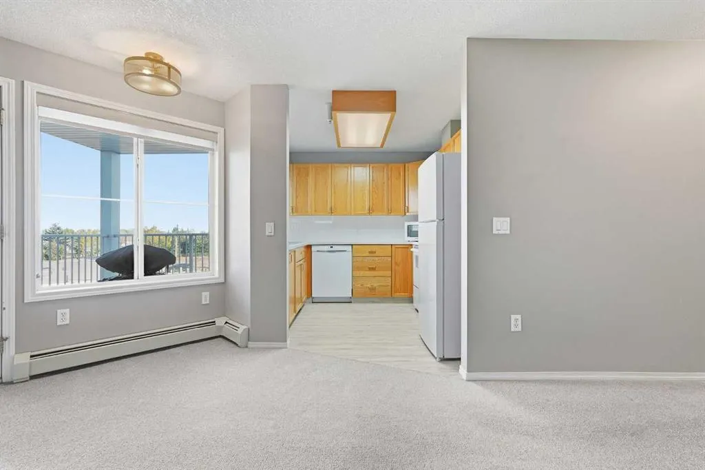305 1 Avenue NW #316