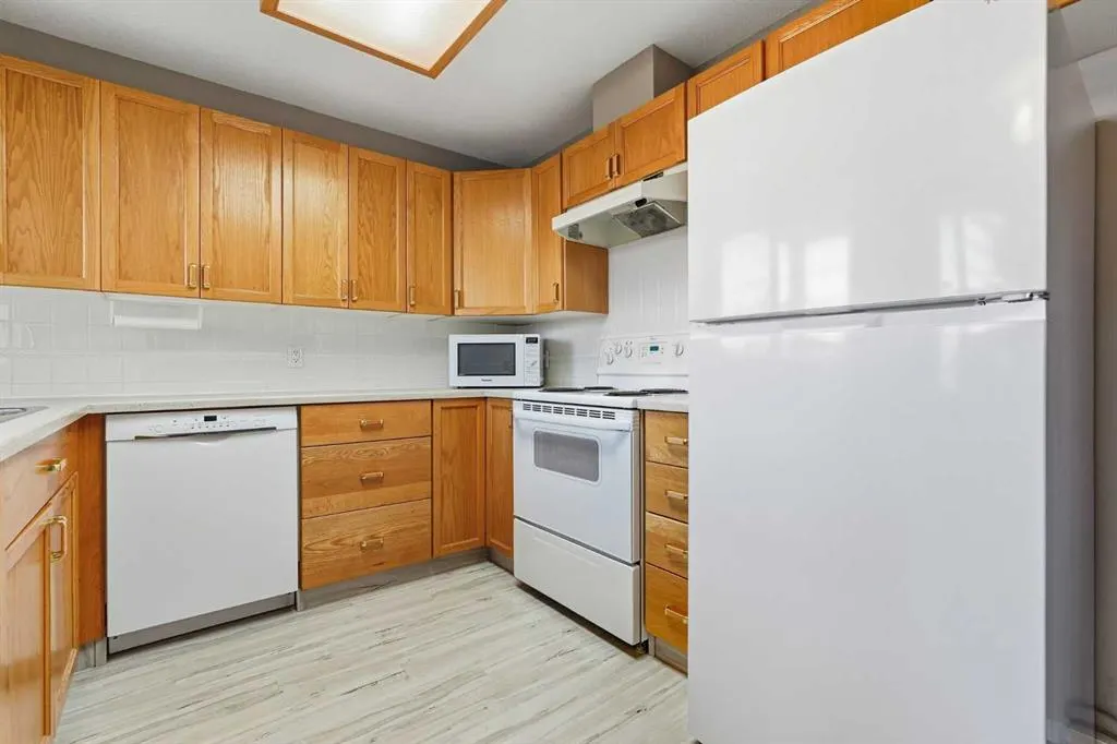 305 1 Avenue NW #316