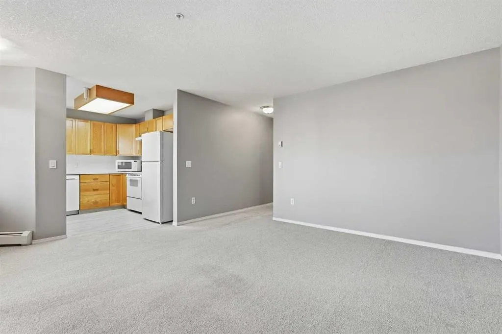 305 1 Avenue NW #316
