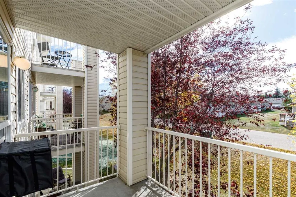 56 Carroll Crescent #206